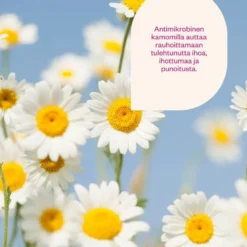 Flow Cosmetics Probioottinen luomukamomillavesi 100ml